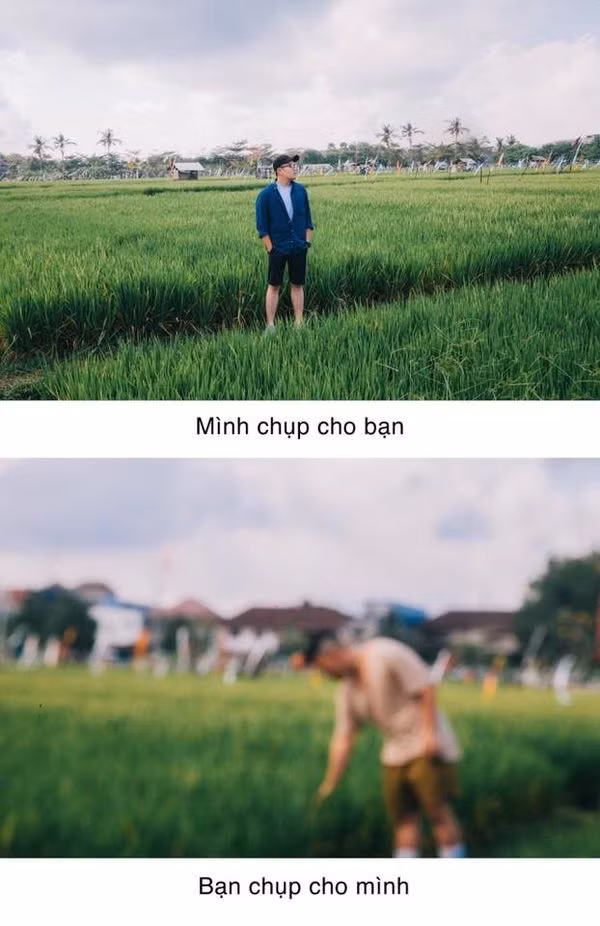 Ảnh nhờ vả không mất tiền thì chỉ đến thế này thôi.