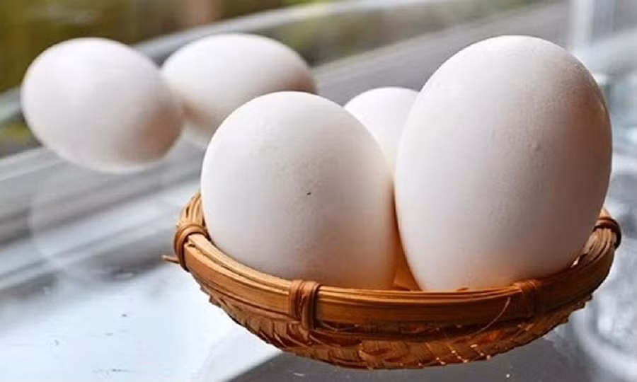Bà bầu nên ăn trứng ngỗng vào tháng thứ mấy để sinh con thông minh? ảnh 3