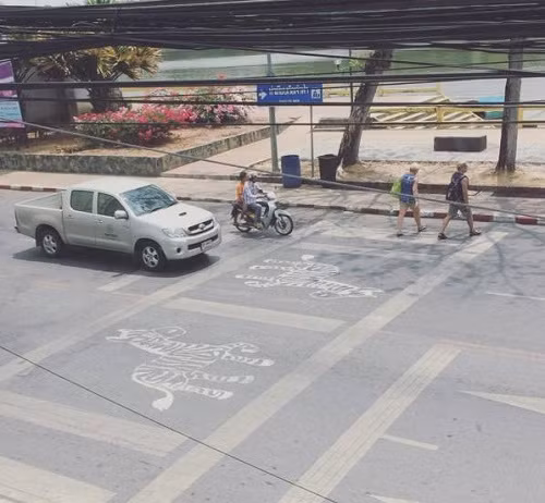 Vạch qua đường dành riêng cho ngựa vằn. Vạch qua đường dành riêng cho ngựa vằn.