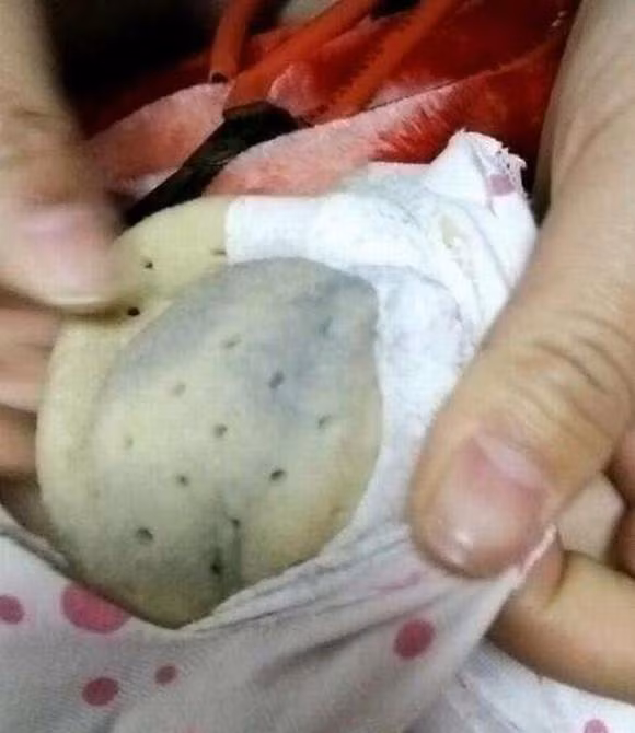 đồ lót 1 đồ lót, cắt đồ lót, đồ lót phụ nữ