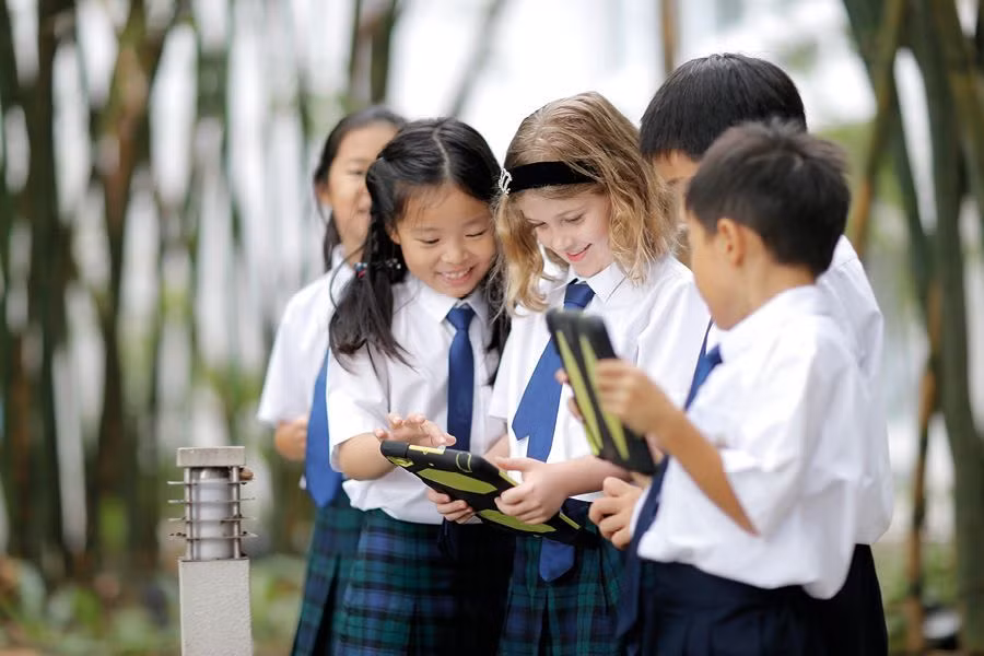 Trường quốc tế không phải là con đường duy nhất dẫn đến thành công.