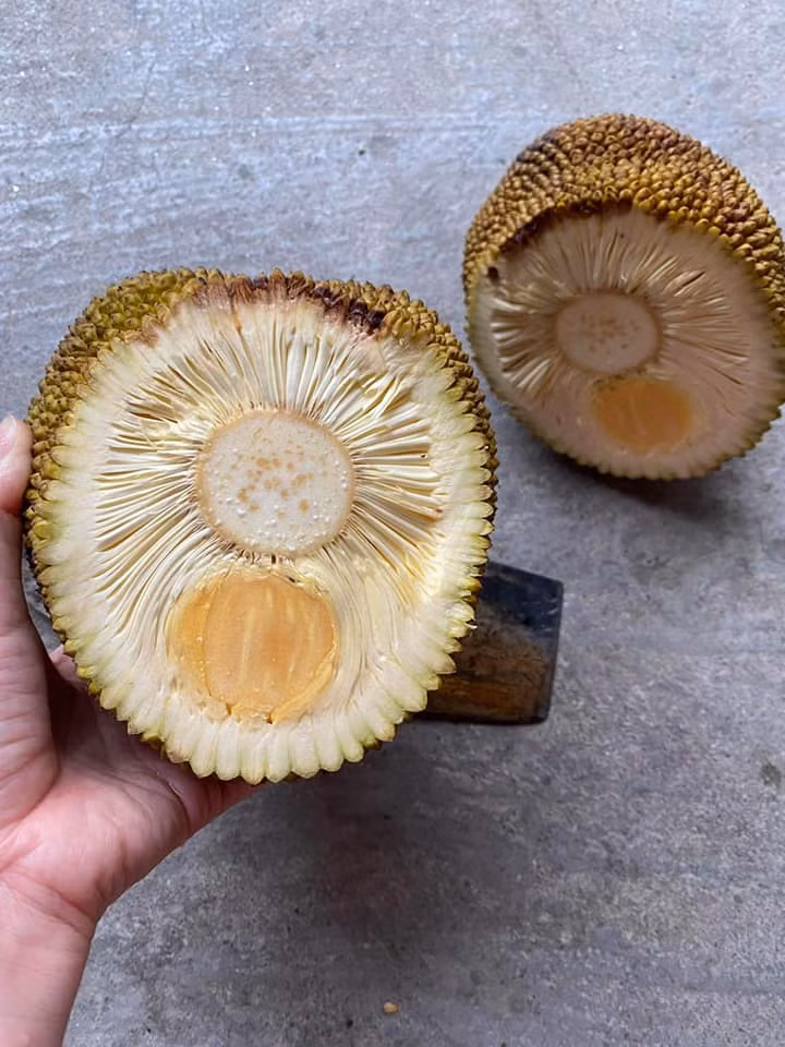 Mít sạch, nhà trồng. Bổ ra không cất lên lời