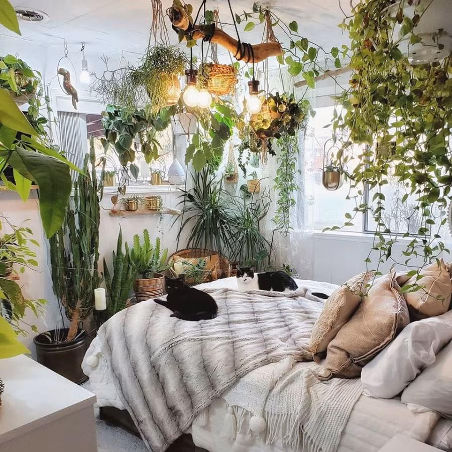 Tối kỵ cần tránh khi bài trí phòng ngủ ảnh 1