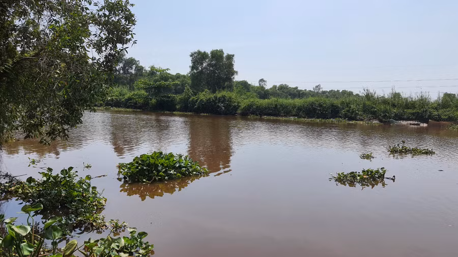 Khu vực nơi phát hiện 2 mẹ con tử vong. Khu vực nơi phát hiện 2 mẹ con tử vong.