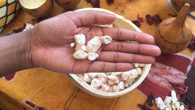Cây lạ “nhìn đâu cũng thấy tiền”, chẳng cần chăm nhưng có thể “hốt bạc” quanh năm ảnh 10 cay la "nhin dau cung thay tien", chang can cham nhung co the "hot bac" quanh nam - 10