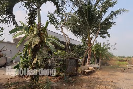 tin tuc 24h: can canh nhieu nguoi dot nhap vao nha hoang noi tuan khi tung an nau - 12