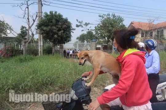tin tuc 24h: can canh nhieu nguoi dot nhap vao nha hoang noi tuan khi tung an nau - 3