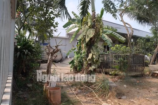 tin tuc 24h: can canh nhieu nguoi dot nhap vao nha hoang noi tuan khi tung an nau - 13