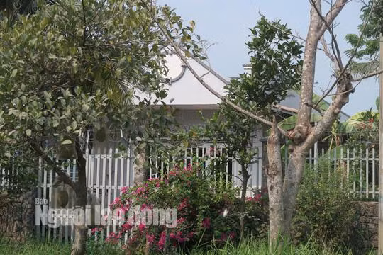 tin tuc 24h: can canh nhieu nguoi dot nhap vao nha hoang noi tuan khi tung an nau - 18