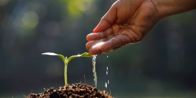 Điểm thi của con kém gần nhất lớp, ông bố không mắng mà can thiệp giúp con vươn lên số 1 - Ảnh 2.