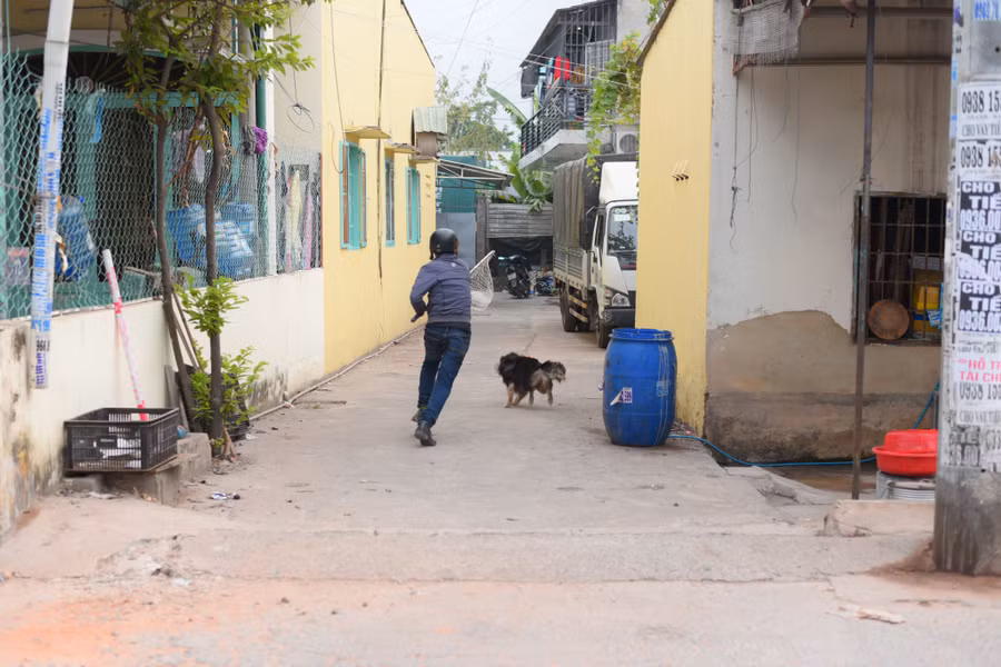 Một chú chó phóng uế ra đường bị vây bắt. Một chú chó phóng uế ra đường bị vây bắt.