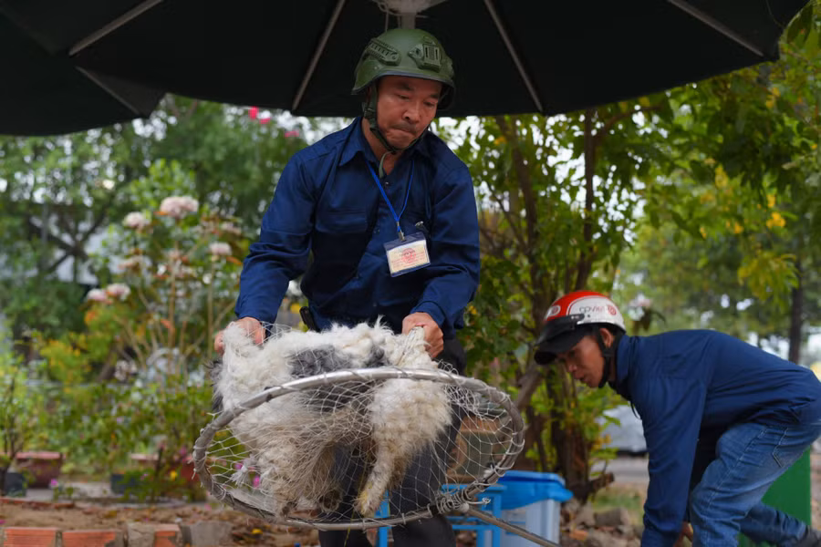 Chú chó bị vây bắt trong vòng vài giây. Chú chó bị vây bắt trong vòng vài giây.