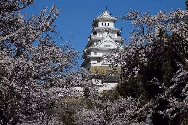 Lâu đài Himeji được hoàn thành vào đầu thế kỷ 17, mang kiến trúc thời phong kiến Nhật Bản.