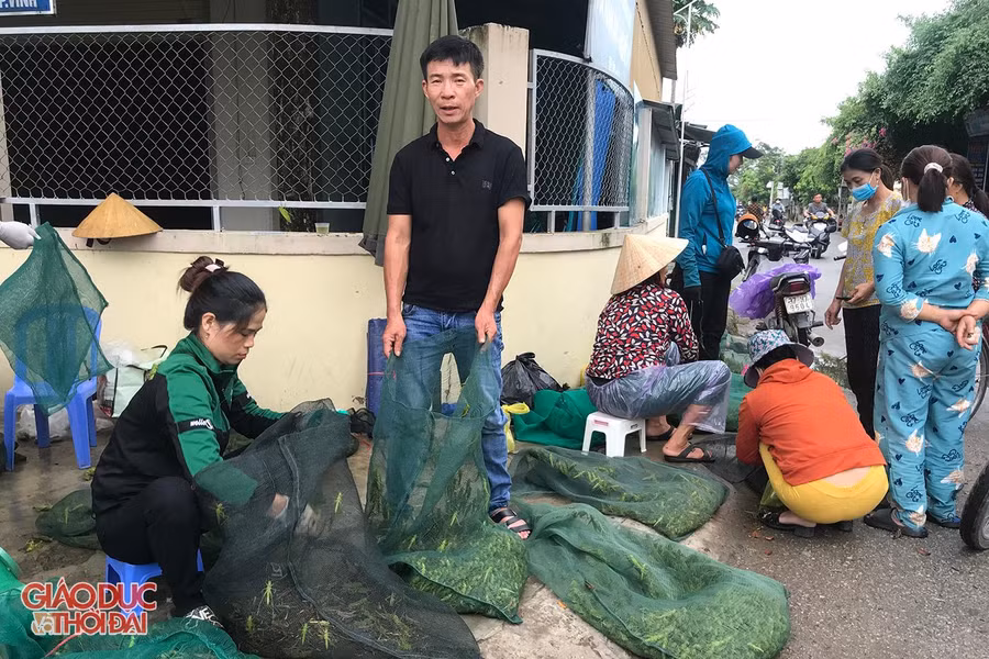 Khu chợ cóc bán cào cào xanh ở xã Nghi Kim, thành phố Vinh. Khu chợ cóc bán cào cào xanh ở xã Nghi Kim, thành phố Vinh.