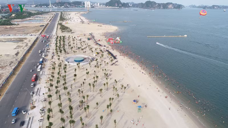 cam luu thong tuyen bao bien dep nhat ha long: giam su hap dan hinh 5