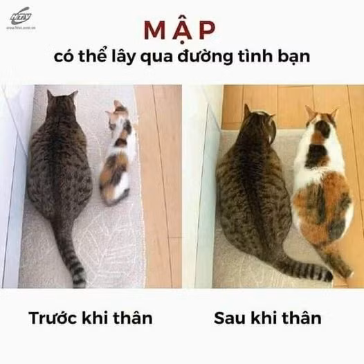 Không sao!