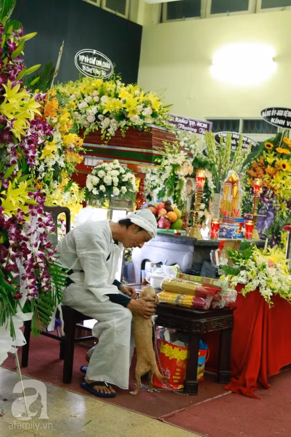 Rơi nước mắt với hình ảnh chú cún nhỏ buộc khăn tang trắng, quanh quẩn không rời bên linh cữu cố nghệ sĩ Lê Bình - Ảnh 6.