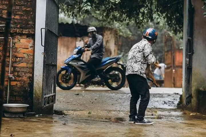 Bộ ảnh chân thực đến từng cảm xúc, 2 thanh niên tái hiện cảnh trộm chó và cái kết nhãn tiền Bộ ảnh chân thực đến từng cảm xúc, 2 thanh niên tái hiện cảnh trộm chó và cái kết nhãn tiền