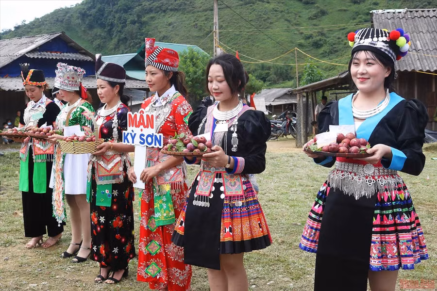 Hội thi mận đẹp, mận ngon tại Ngày hội hái mận xã Mường Lống.