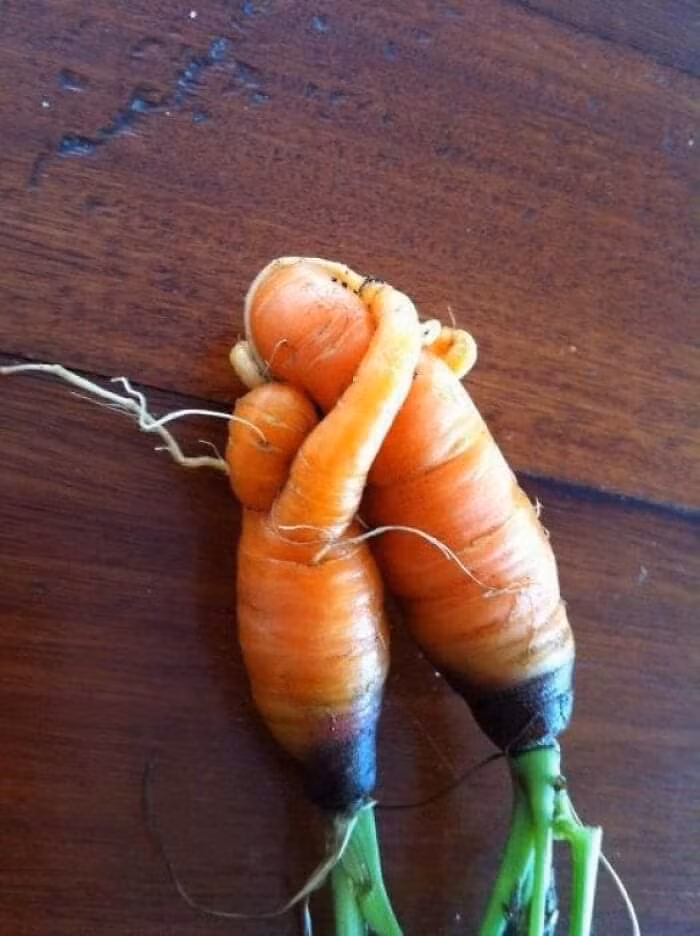 Mãi bên nhau bạn nhé!