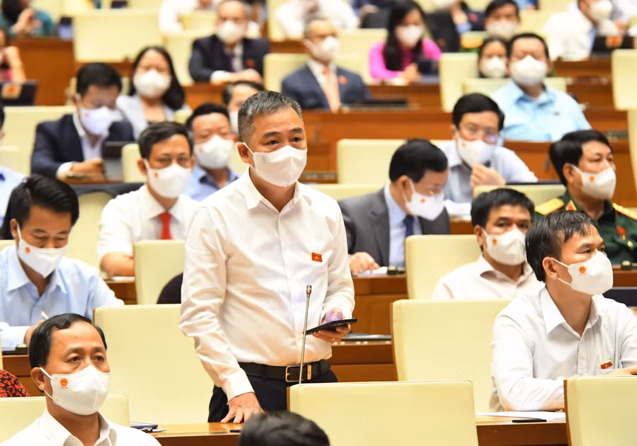 Đại biểu Quốc hội Nguyễn Lân Hiếu (đoàn Bình Định)