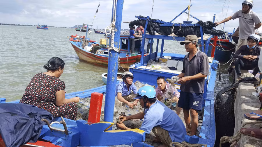 Người làng chài thu mua hải sản từ ngư dân rồi bán luôn cho du khách ở cầu tàu