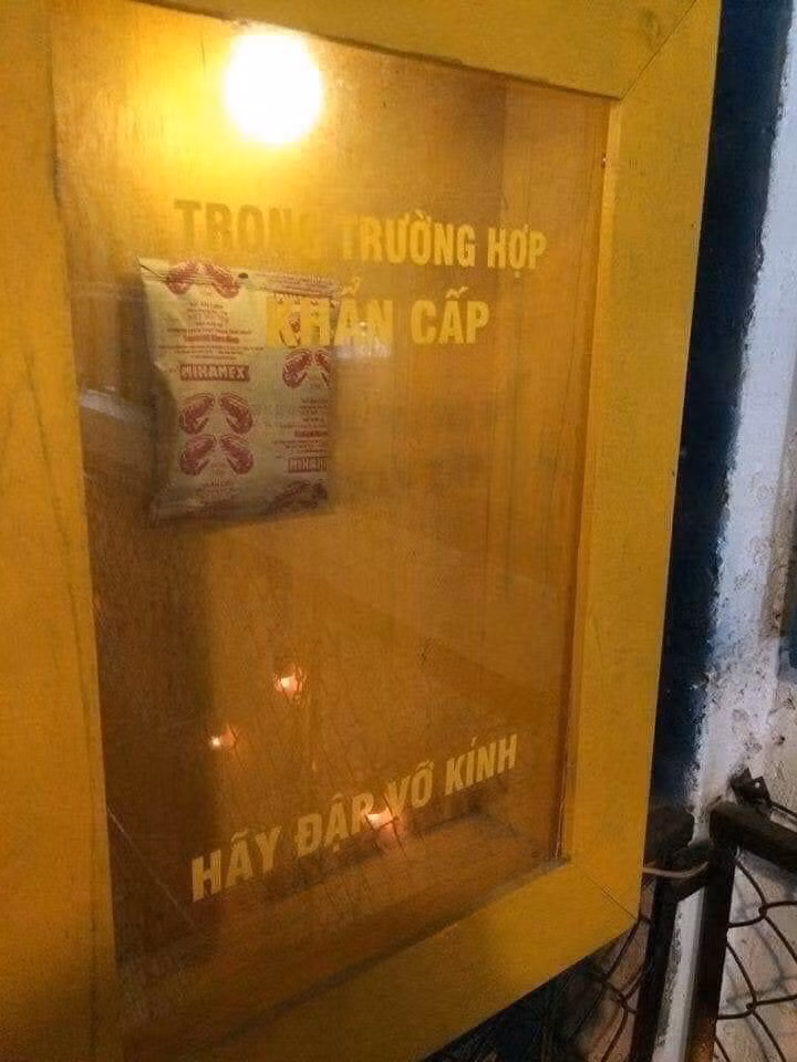 Những hình ảnh hài hước trong ngày ảnh 4