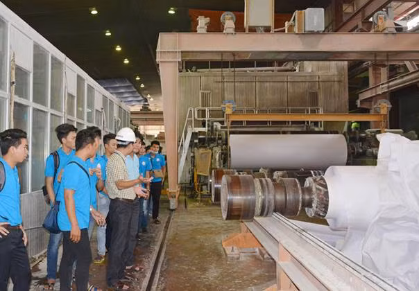 Các sinh viên được kỹ sư và cán bộ Tổng Công ty Giấy Việt Nam giới thiệu và chia sẻ về các ứng dụng dây chuyền sản xuất sản phẩm giấy.