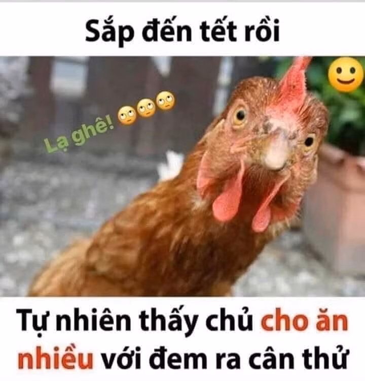 1001 nỗi lo Tết của chị em ảnh 2