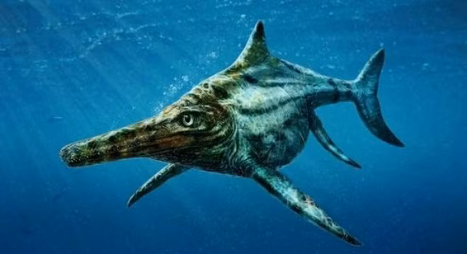 Tìm thấy giống cá lạ - “họ hàng” của quái vật hồ Lochness