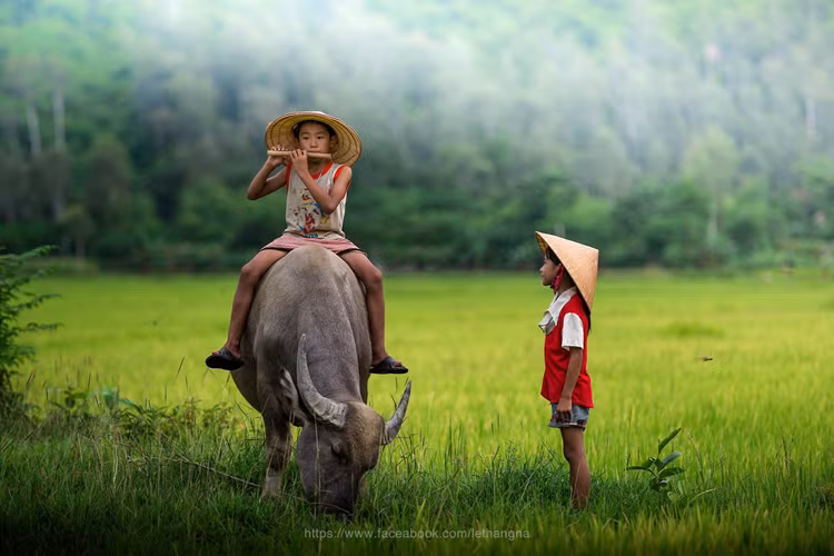 Đến với bài thơ hay: Cái sân chơi biết đi