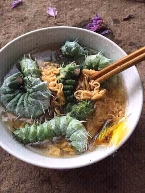 Bát mì tôm giàu chất đạm