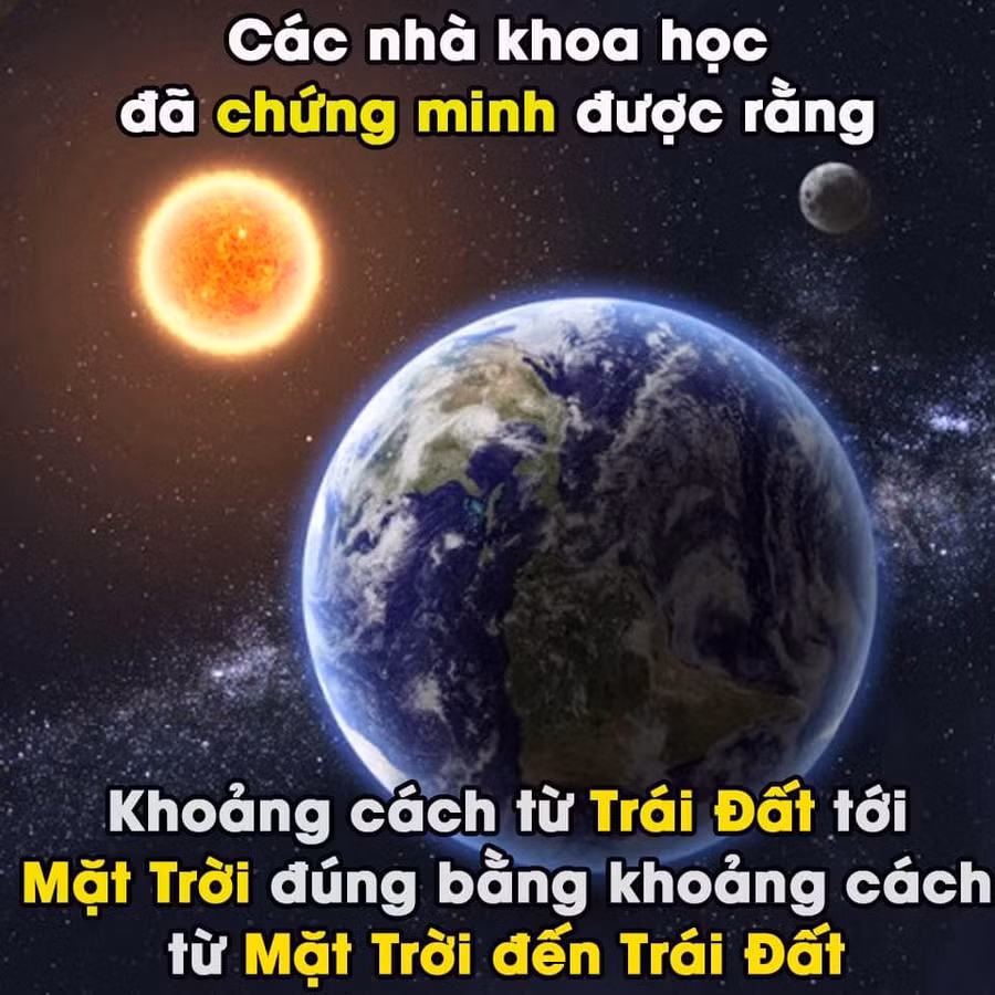 Ăn tết xong thông minh hẳn