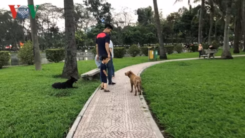 kinh hai cho khong ro mom chay rong trong cong vien thong nhat hinh 9