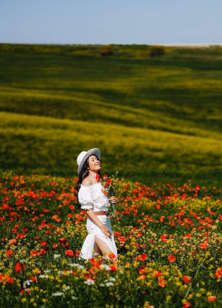 Tuscany ngập tràn hoa. Tuscany ngập tràn hoa.