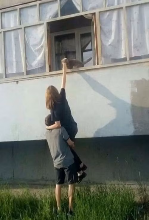 Mẫu bạn trai lý tưởng của thiếu nữ yêu mèo.