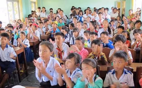 thong tin cat hop dong 1400 giao vien o ca mau la sai hinh 1