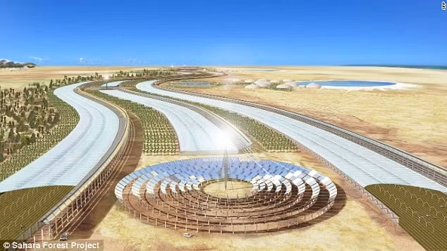 Bắt sa mạc Sahara “đẻ” ra rau xanh, nước sạch quanh năm