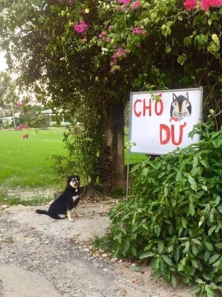 Là tôi đây sao, nhìn mặt hèn hèn...