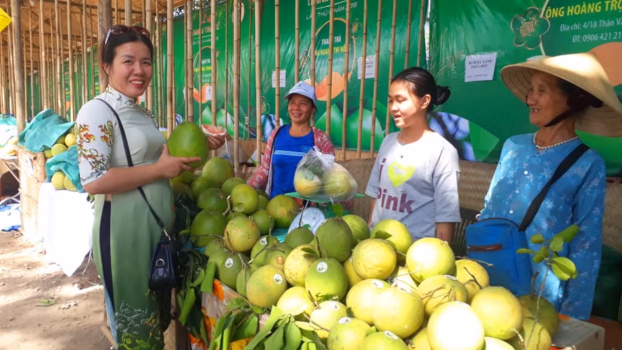 Từ lâu thanh trà Thủy Biều là đặc sản nổi tiếng khắp cả nước