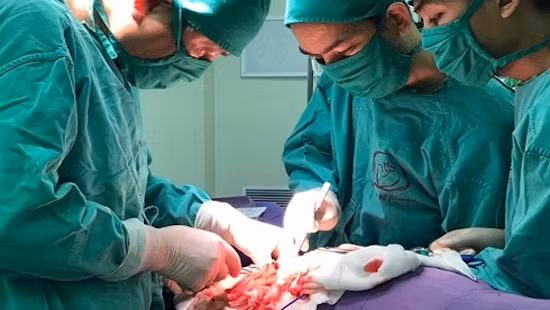 Bé gái ở Quảng Ninh được phát hiện thừa quả thận sau 1 tuần đi tiểu buốt