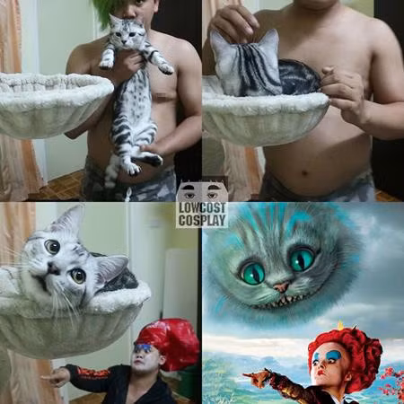 Cũng có mặt mèo, cũng có Nữ hoàng đỏ, còn ai dám bảo đây không phải là một cảnh phim của “Alice in Wonderland”?