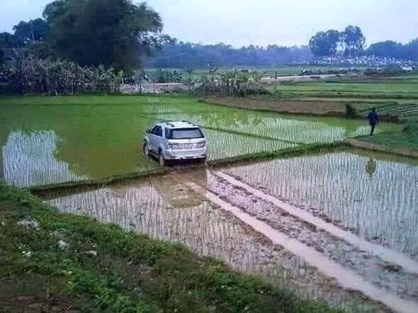 Anh chọn lối riêng .