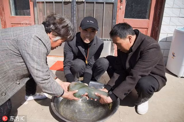 Trung Quốc: Phát hiện “khối thịt bầy nhầy”, không ngờ là vật quý hơn 35 tỷ đồng? - 3