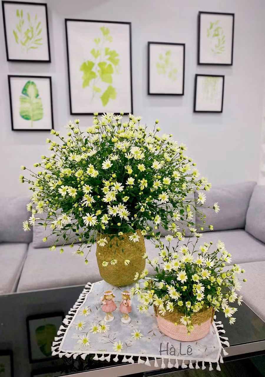 Lồng bình hoa vào bị cói.