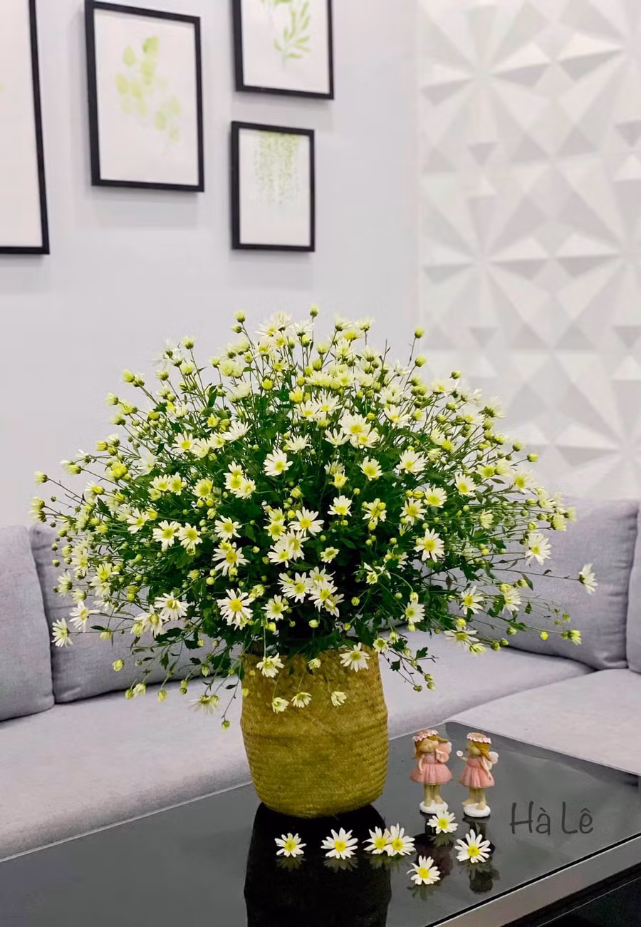 Mẹ 8X Hà thành gợi ý cắm cúc hoạ mi đẹp không bị rối bông, không dùng xốp ảnh 9