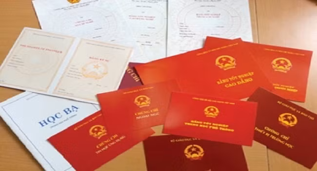 Tăng cường quản lý đào tạo, cấp chứng chỉ ngoại ngữ, tin học