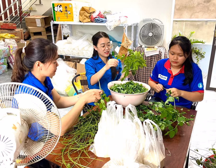 Các tình nguyện viên chuẩn bị suất ăn suất ăn miễn phí cho thí sinh.