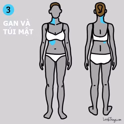 9 vị trí đau trên cơ thể cảnh báo bệnh nguy hiểm - 3