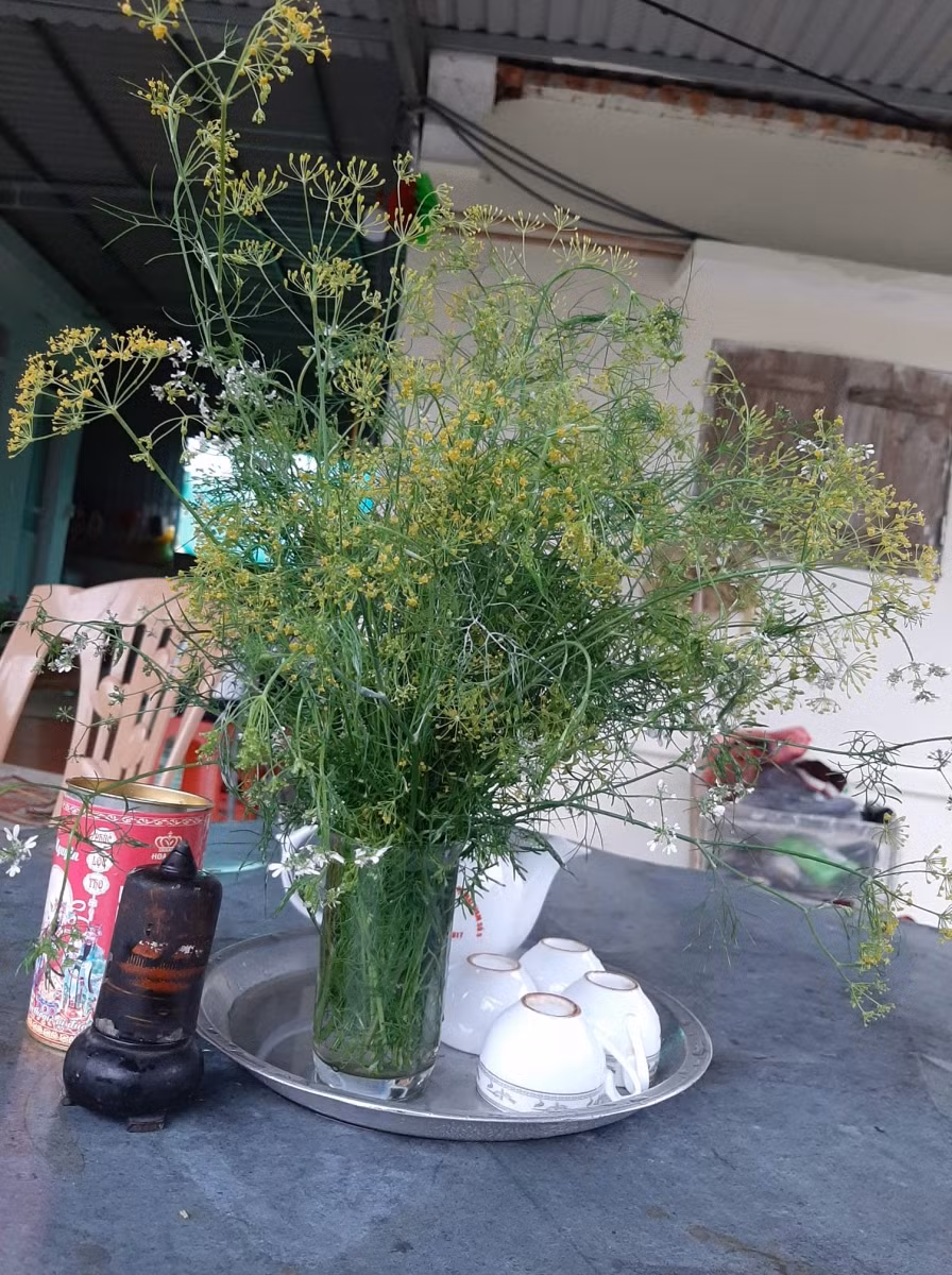 Bạn gái được tặng bó hoa cỏ mùa xuân này không biết nên vui hay buồn